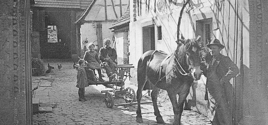 Historisches Foto: Pferde im Weingut