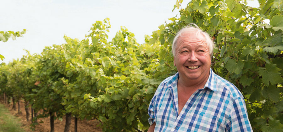 Gustav Pfaffmann erläutert den Minimalschnitt vor Ort in Walsheim