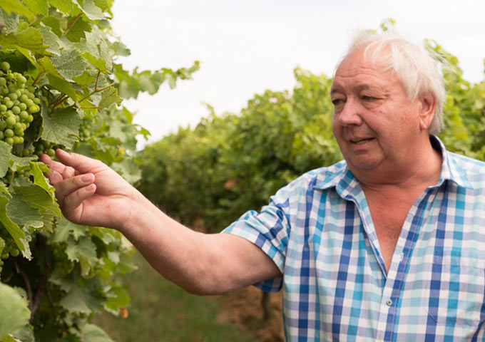 Gustav Pfaffmann erklärt den Minimalschnitt