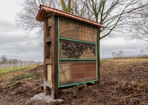 Insektenhotel