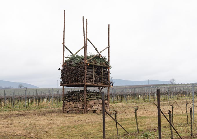 Leben auf mehreren Etagen, NABU Partnerbetrieb Naturschutz