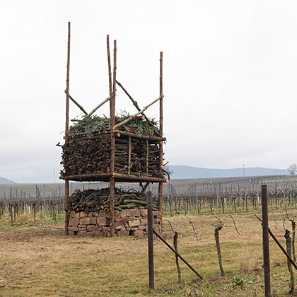 Naturschutzprojekt Lebensturm Vorschau, NABU Partnerbetrieb Naturschutz