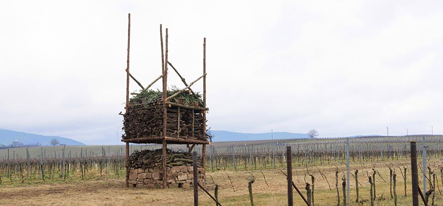 Lebensturm im Weinberg, NABU Partnerbetrieb Naturschutz