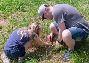 Mit Kindern in der Wiese Insekten suchen 