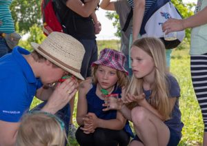Insekten mit der Lupe betrachten