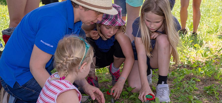 Insektenbeobachtung bei der Kinderwanderung, NABU u. NAJU