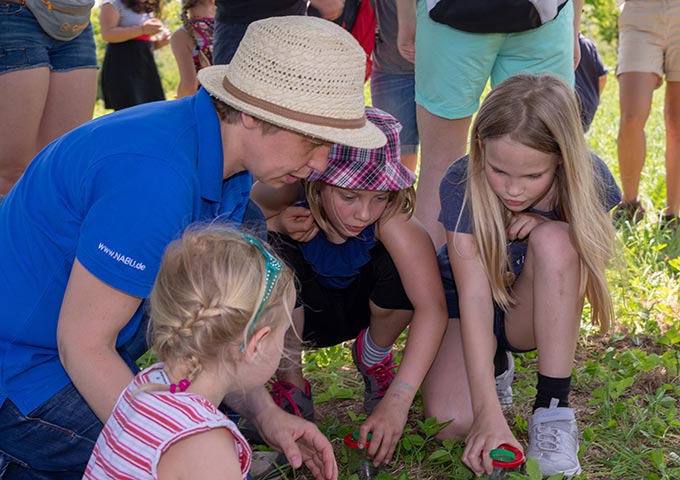 Insektenbeobachtung bei der Kinderwanderung, NABU u. NAJU