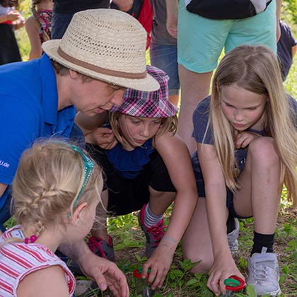 Insektenbeobachtung bei der Kinderwanderung, NABU u. NAJU