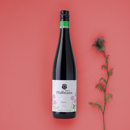 Junge Weinlinie von Pfaffmann.